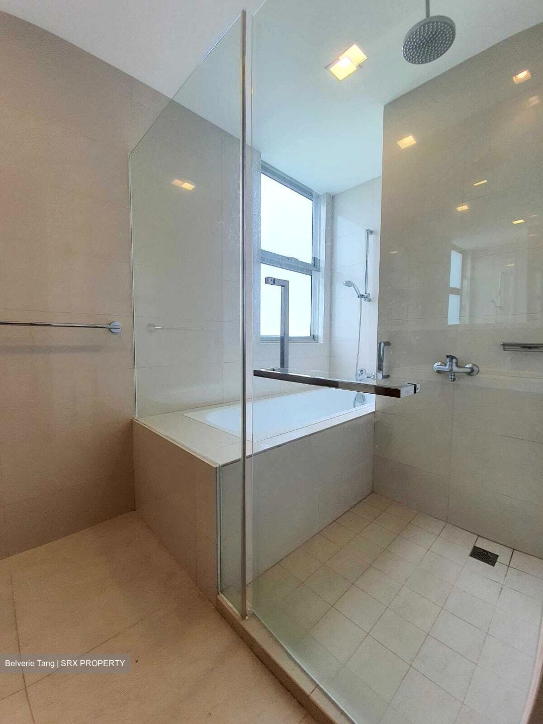 Nassim Regency (D10), Condominium #375529101